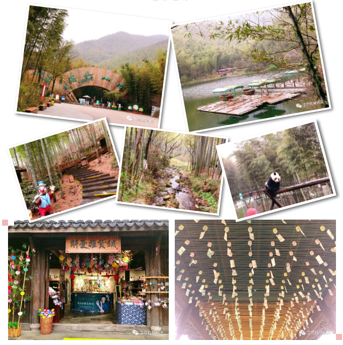 江苏EMC易倍女神节的旅游纪录