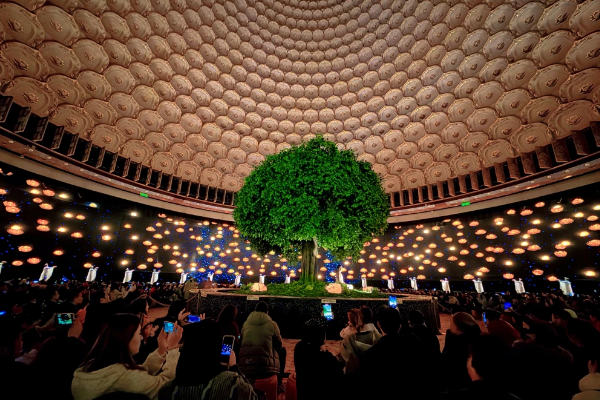 记三八节禅意之旅